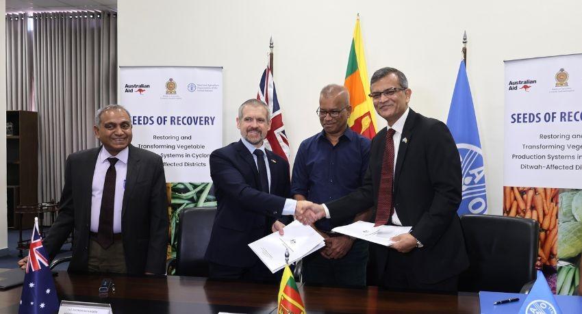 Recovery Drive for Cyclone-Hit Vegetable Farmers